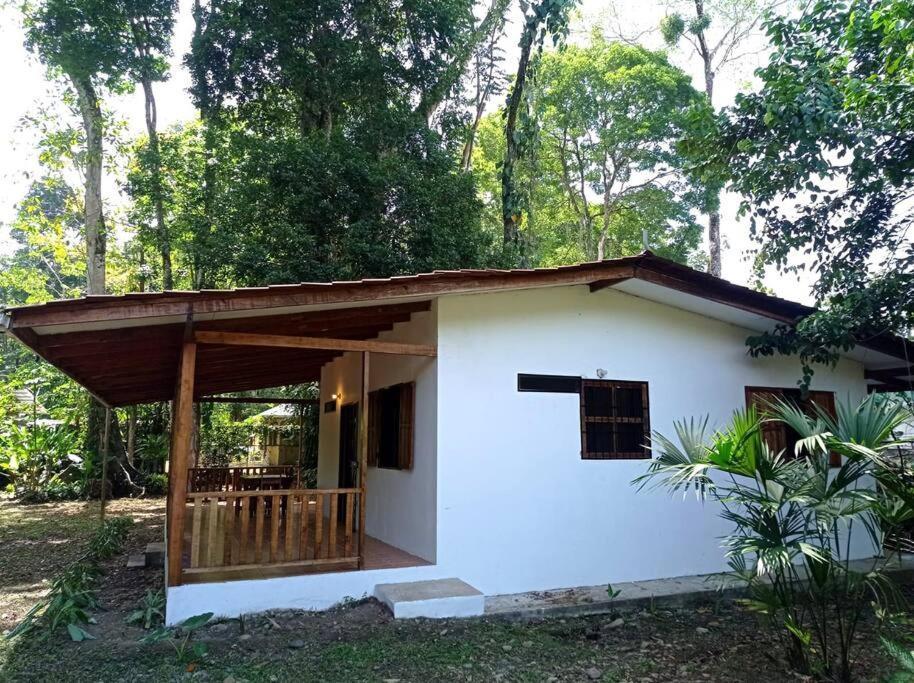Willa Green Papaya Puerto Viejo de Talamanca Zewnętrze zdjęcie