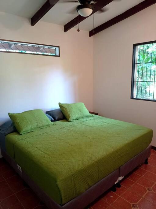 Willa Green Papaya Puerto Viejo de Talamanca Zewnętrze zdjęcie